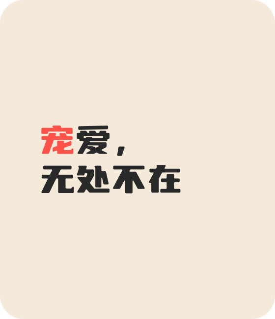 今年会宠物，无处不在