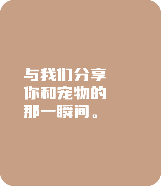 今年会宠物，无处不在